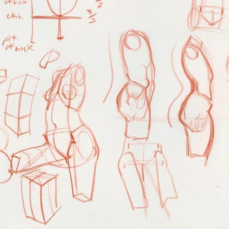 Анатомия тела для рисования