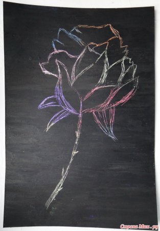 Граттаж роза