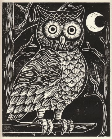 Граттаж Филин