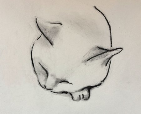 Рисунки углём лёгкие