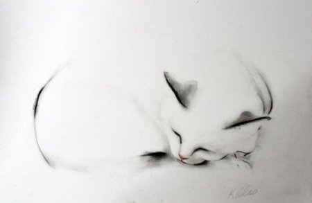 Художник Kellas Campbell
