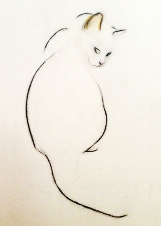 Kellas Campbell кошки