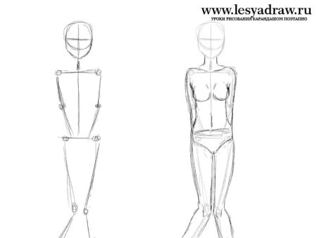 Тело человека карандашом для начинающих