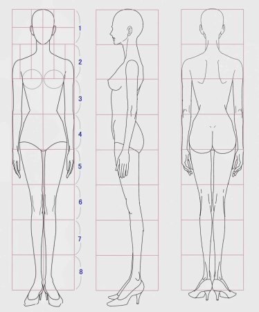 Построение женской фигуры