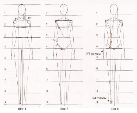 Схема построения фигуры человека