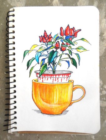 Цветные линеры