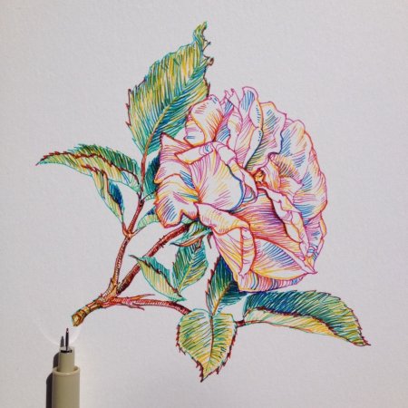 Рисунки линерами цветными