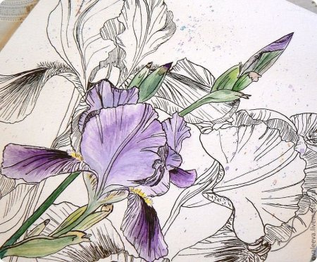 Ирисы в гунби