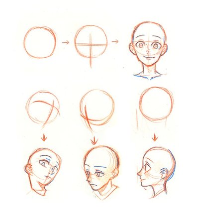 Анатомия лица для рисования