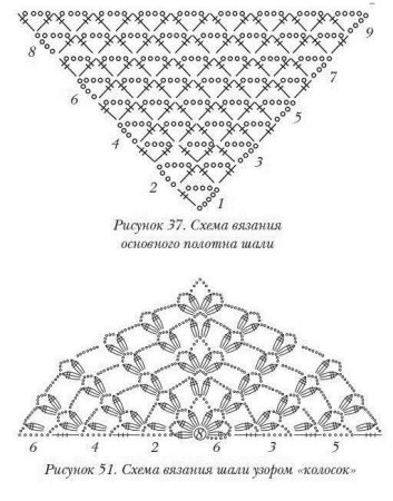 Схема вязания крючком косынки для женщин