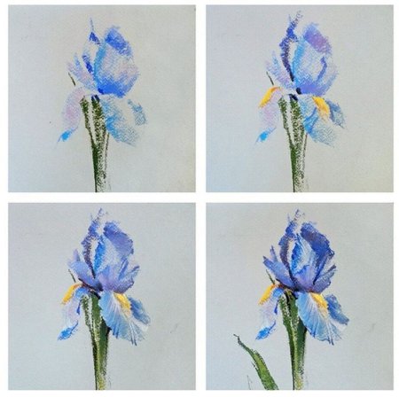 Цветы пастелью для начинающих