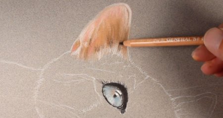 Рисование пастельными карандашами мастер класс