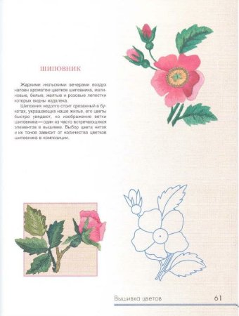 Схема рисунка для вышивания гладью крупно