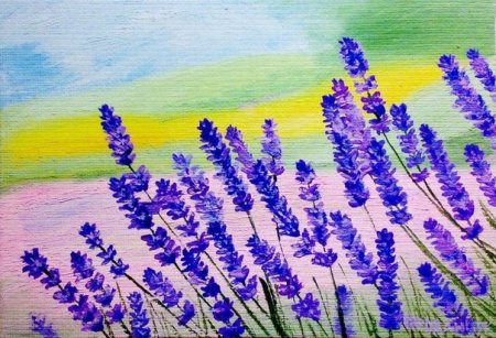 Лаванда пастелью