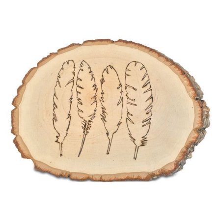 Спил дерева логотип