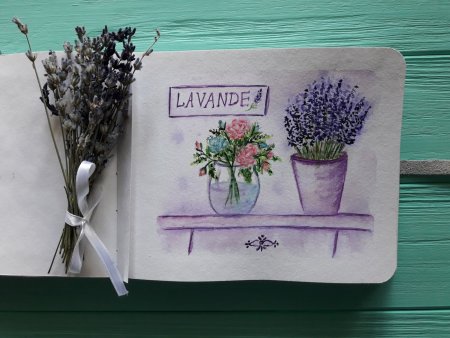 Лаванда рисунок акварелью