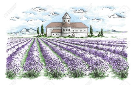 Лавандовое поле вектор