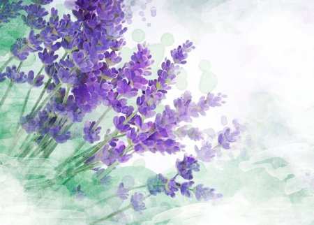 Лавандовая акварель