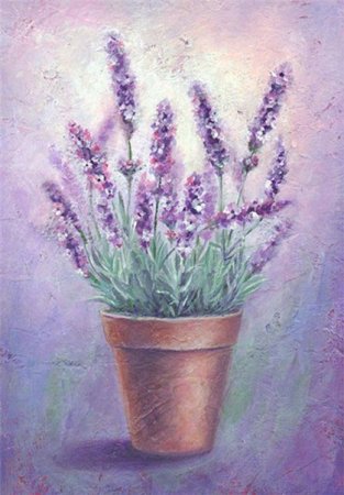 Лаванда масляной пастелью