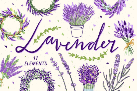 Лаванда Графика