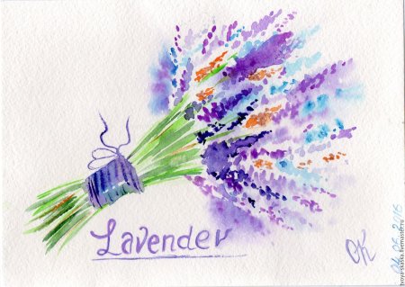 Букетик лаванды акварелью