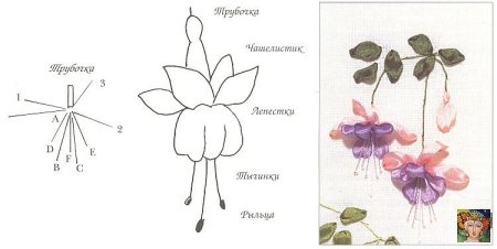 Схемы цветов для вышивки лентами