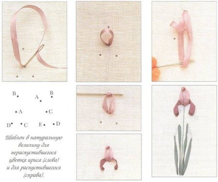 Вышиваем лентами для начинающих схемы пошагово