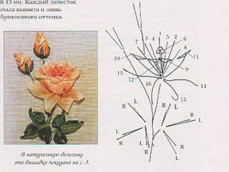 Вышивка ленточками для начинающих