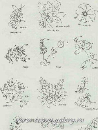 Вышивка лентами цветы схемы