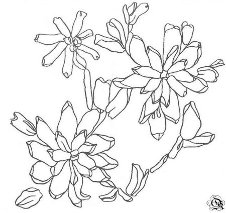 Вышивка лентами схемы