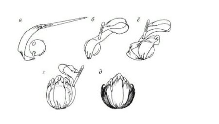 Схемы цветов для вышивки лентами