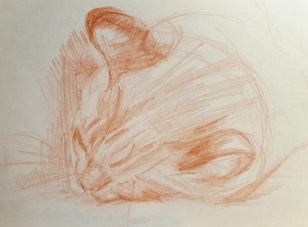 Наброски сангиной