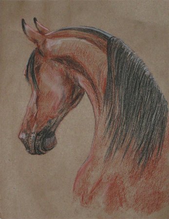 Лошадь сепия
