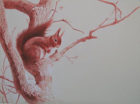 Рисование сангиной деревья