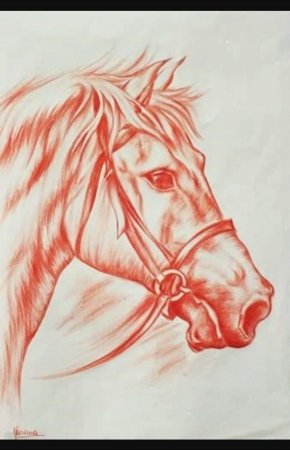 Животные сангиной