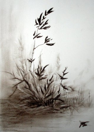 Натюрморт сангиной и сепией