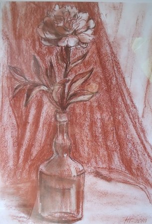 Леонардо да Винчи сангина