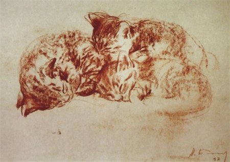 Натюрморт сангиной СХШ