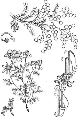 Эскизы для вышивки гладью для начинающих