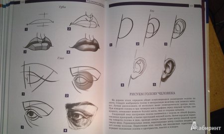 Самоучитель по рисованию