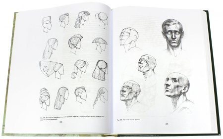 Основы учебного академического рисунка Николай