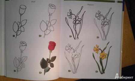 Самоучитель по рисованию карандашом