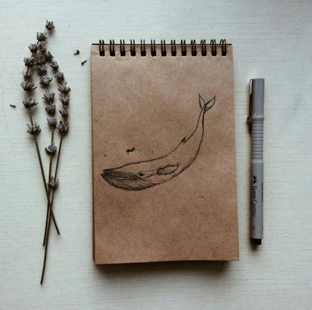 Идеи рисунков на крафтовой бумаге