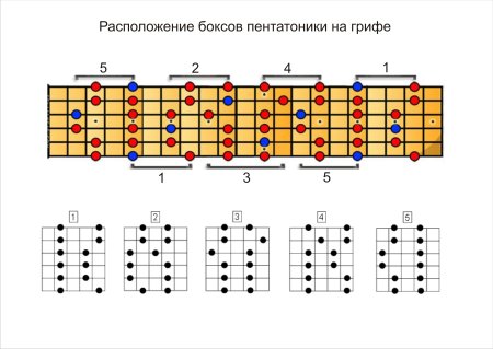 Ля минорная пентатоника на гитаре 5 позиций