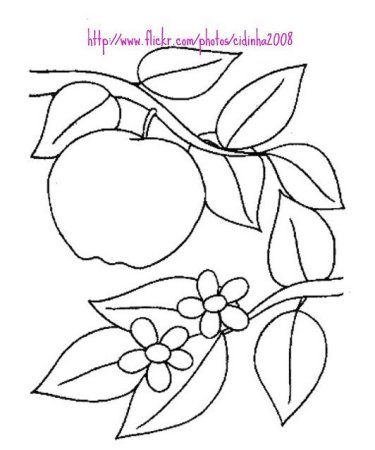 Рисунок для вышивки тамбурным швом для начинающих