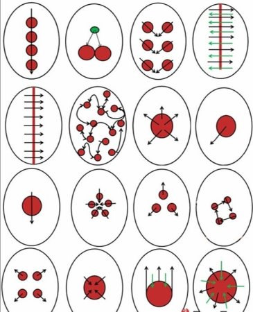 Рисунки на ногтях пошаговое выполнение