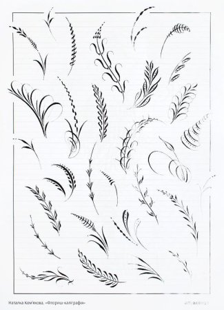 Каллиграфические росчерки флориш