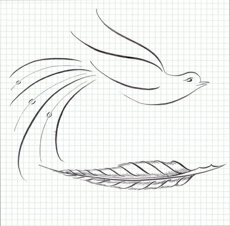 Каллиграфия птицы