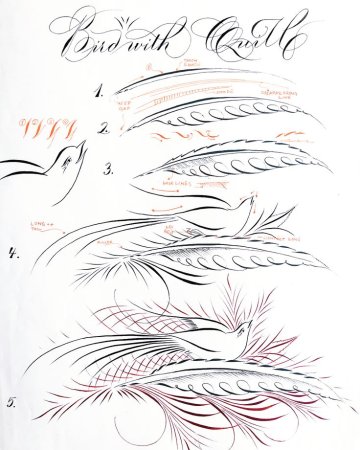 Каллиграфическое рисование пером