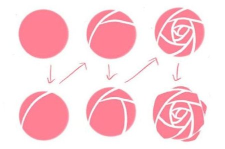 Роза на ногтях пошагово для начинающих